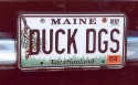 Dog Plates_442.jpg